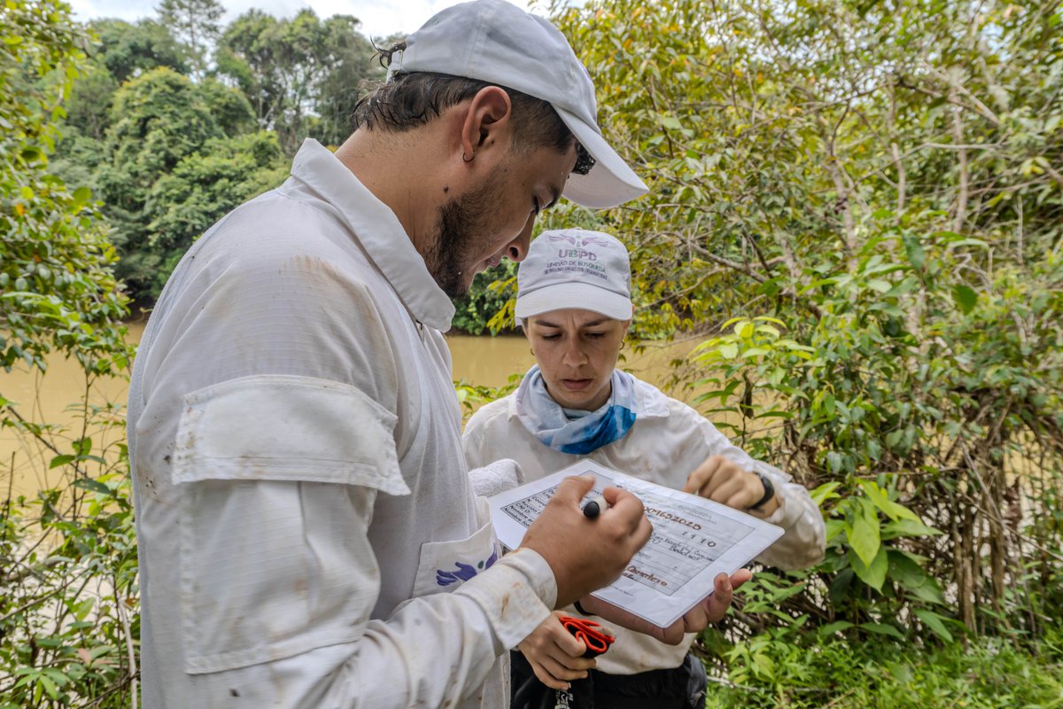 UBPDcolombia's tweet photo. La misión humanitaria de recuperación fue posible gracias al trabajo de equipos forenses de la #UBPD y al avance de la investigación humanitaria y extrajudicial adelantada desde 2022, cuando fue recibida la solicitud de búsqueda a través de @EQUITASColombia  y @ColombiaDiversa. https://t.co/gbDrX0WyP4