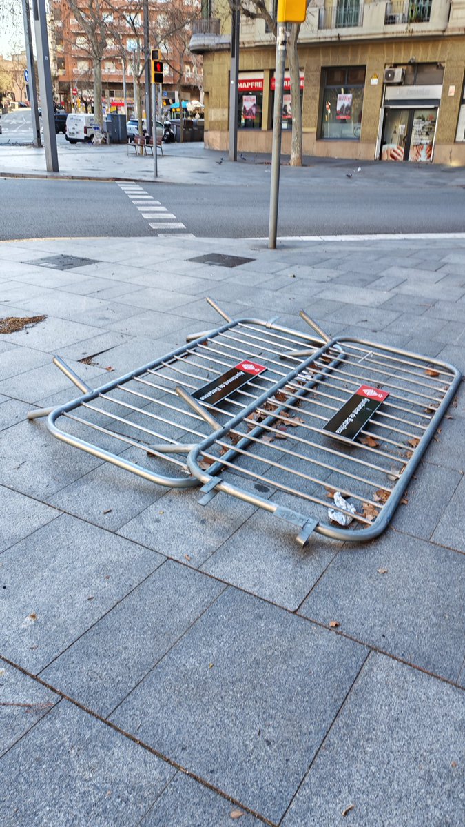 Carolina Velasco tweet media