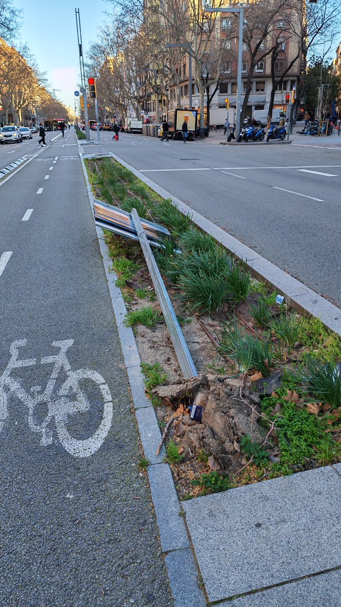 Carolina Velasco tweet media