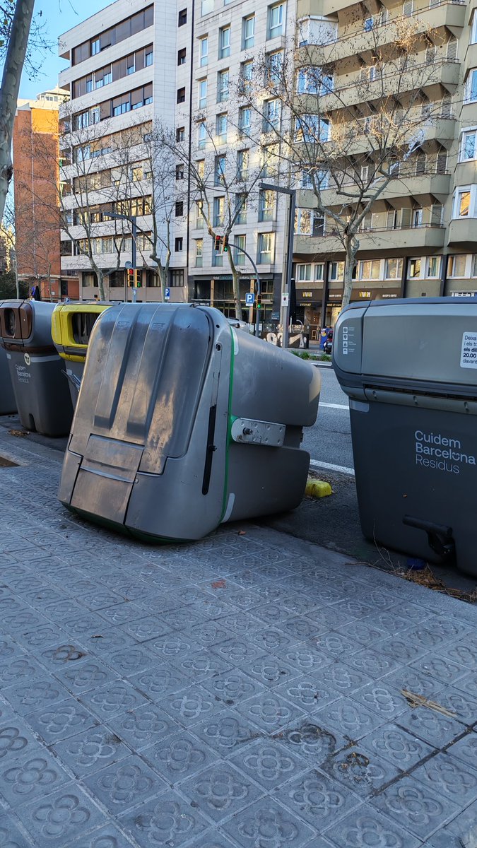 Carolina Velasco tweet media