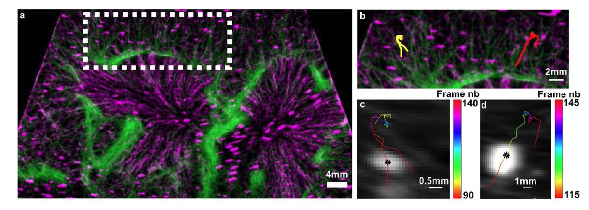 Leonardo V. Riella tweet media