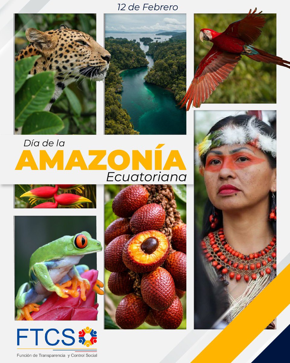 Función de Transparencia y Control Social tweet media