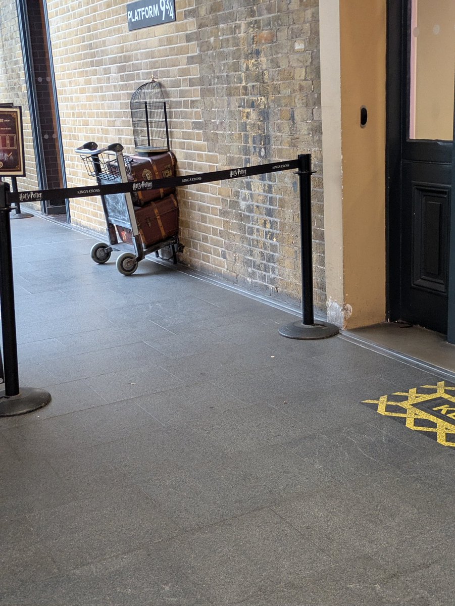 Otis, Flash & Rainbow Benji & Charlie🌈 tweet media