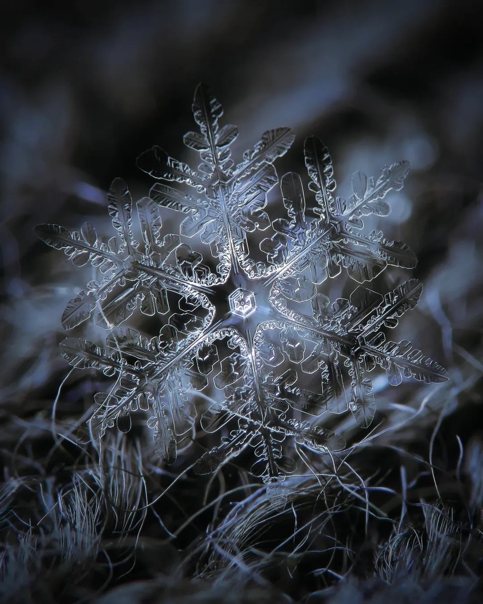 NightSkyToday's tweet photo. 🚨: Photographer reveals the hidden beauty of snowflakes that look tiny works of art❄️ https://t.co/4yv9EMdzOn