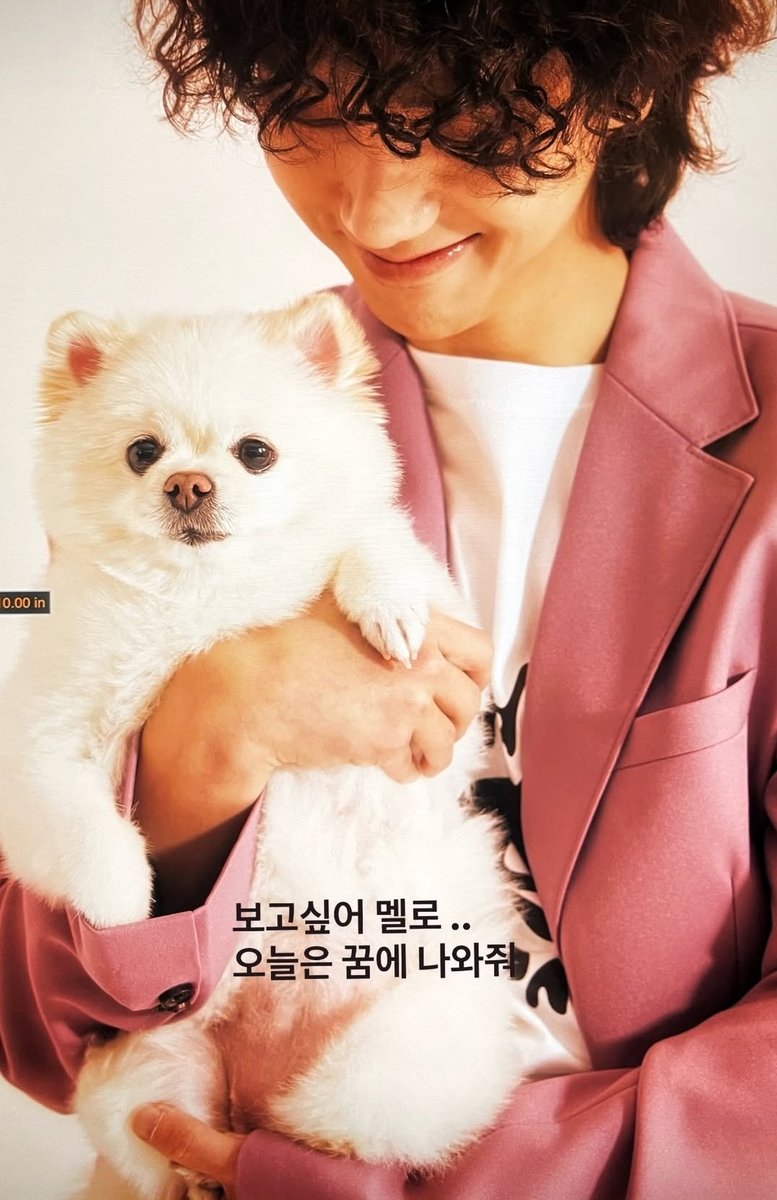 오빠, 그니까.. 얼른 자자 푹자고 멜로 꿈 꼭 꾸길💙
#예성 #yesung