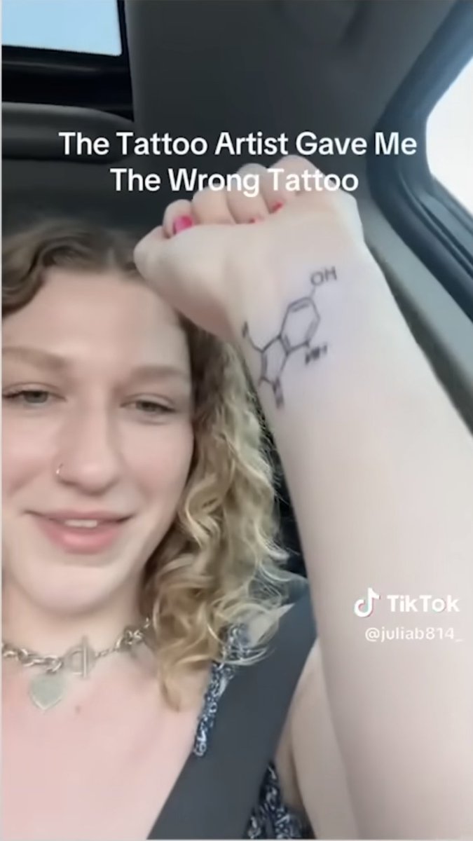 Hamilton Morris tweet media