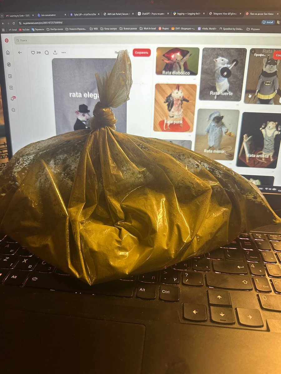 algoldenberga's tweet image. Посмотри на мешок матчи.