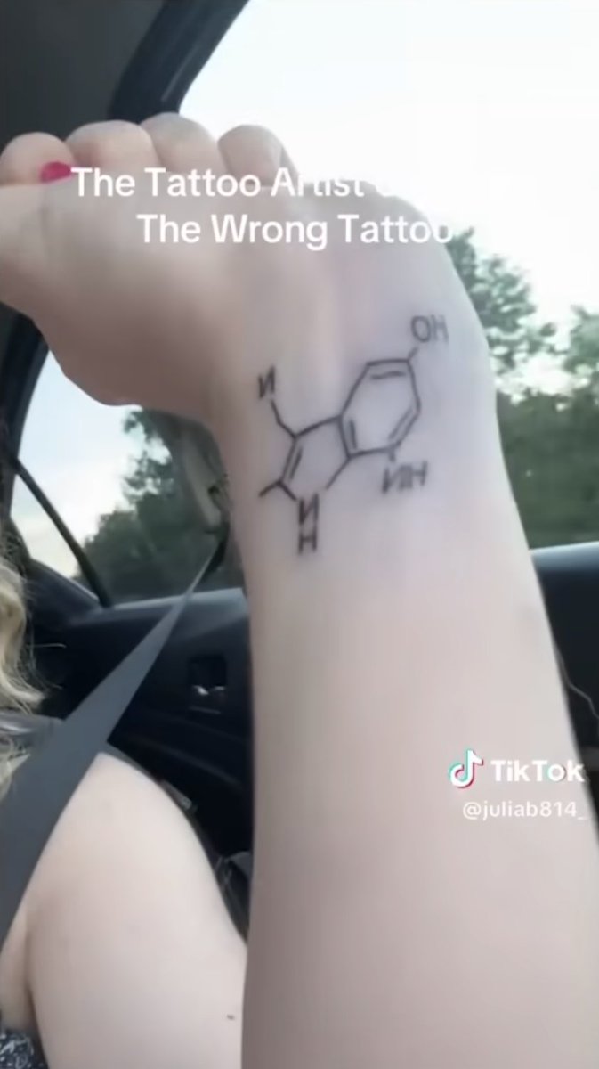 Hamilton Morris tweet media