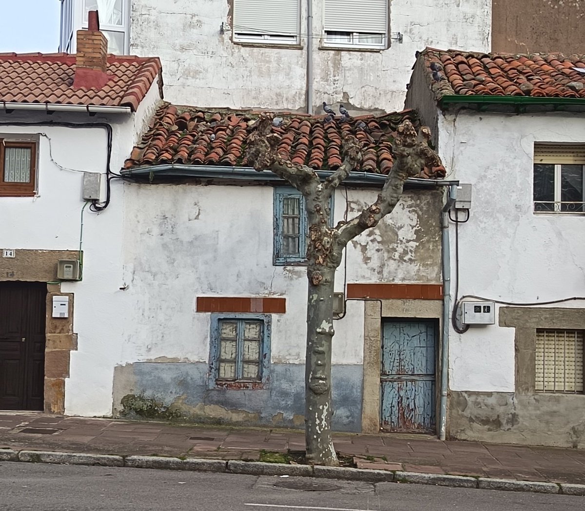 "En el franquismo todas las familias tenían 5 hijos y una casa en propiedad"