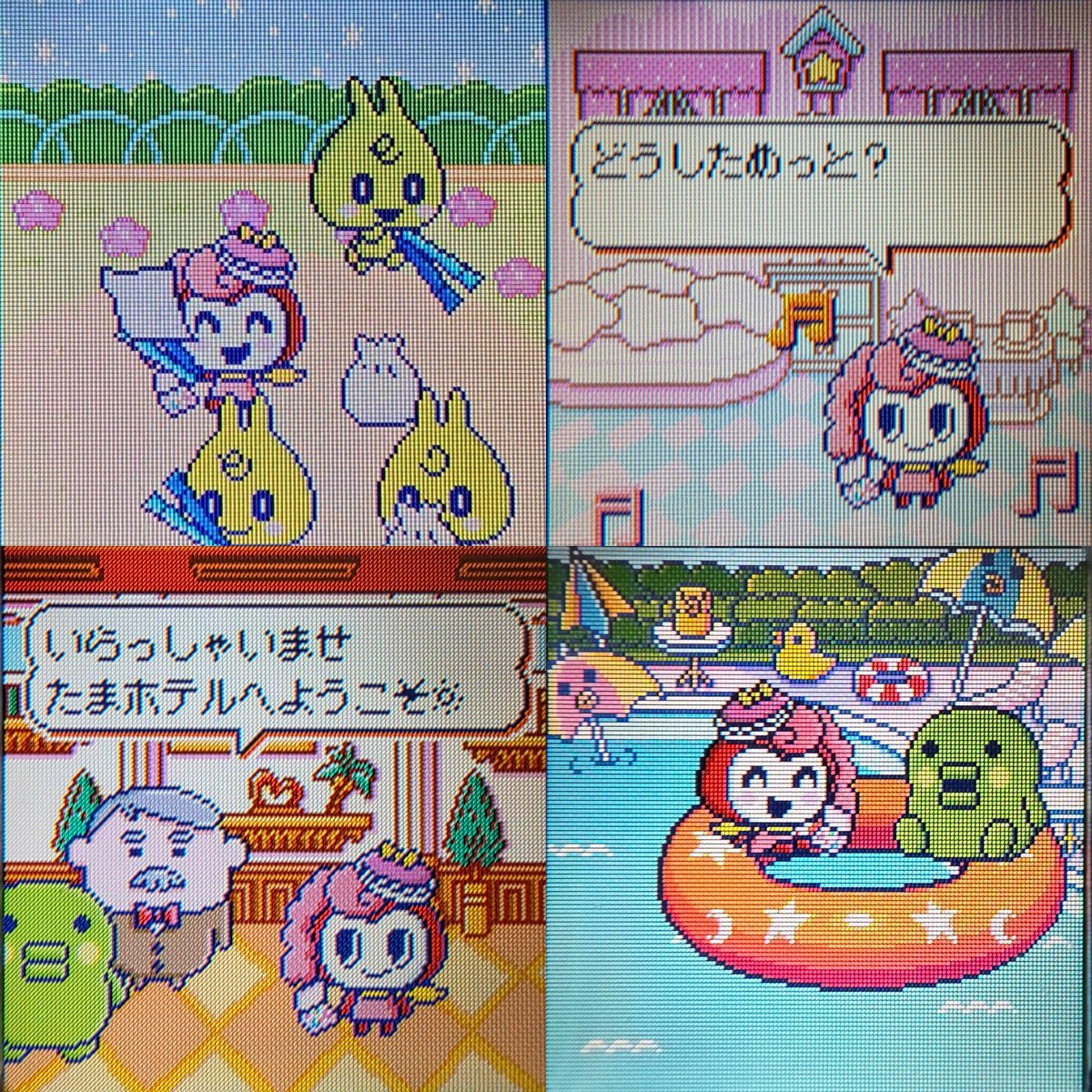 6代目まとめ #たまごっちみーつ