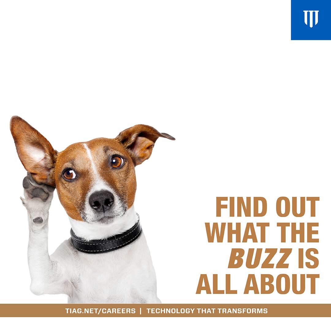 TIAGinc's tweet photo. Do you have big ideas? Do you like dogs? Do you want to love where you work? If so, we are looking for incredible people to join our team. Apply now or tag a friend that you think might be a great fit. #werehiring #careers #tiagjobs

https://t.co/vV7e5mHTbW https://t.co/ELEHeIDodj