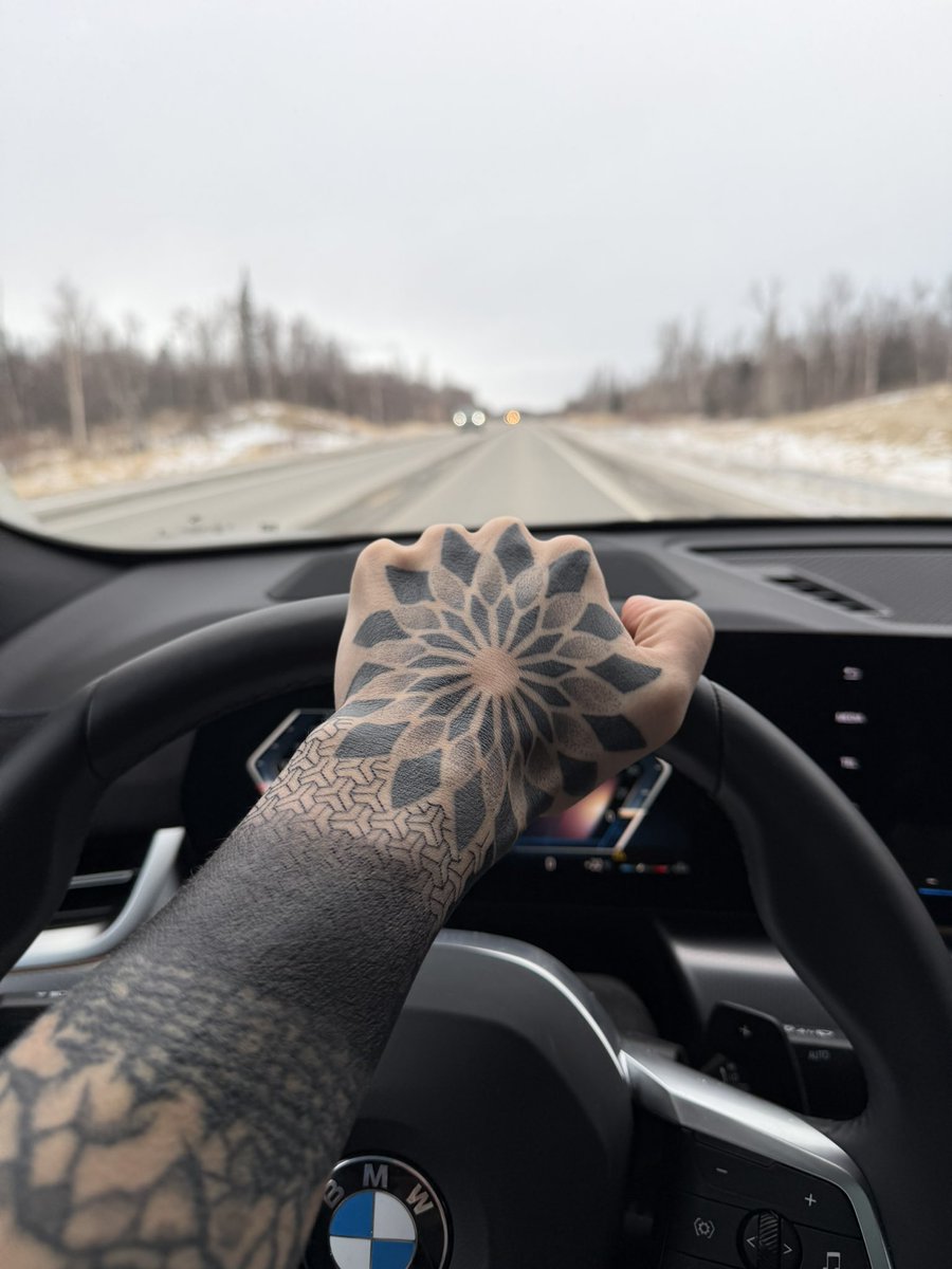 Alaska Guy tweet media