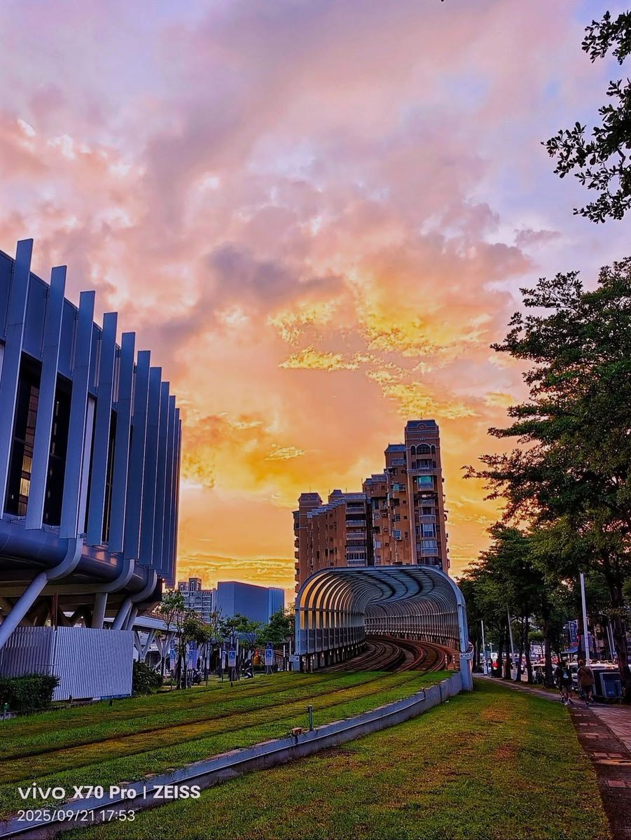 Danny Lyn Light tweet media