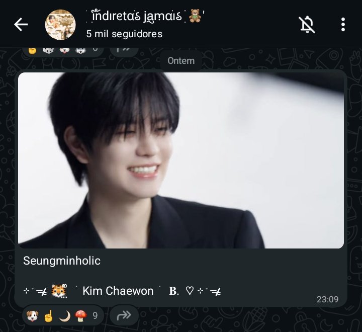 harukoona's tweet photo. não consigo explicar o quanto eu odeio essas imagens e canais do whatsapp nesse estilo https://t.co/kUXFxcjvIt