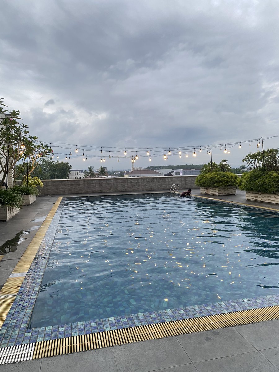 Natade Coco 🦖 tweet media