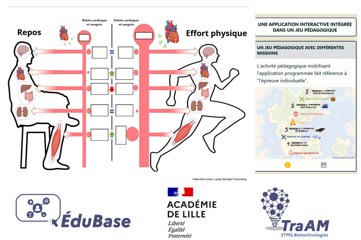 biotech_edu_num's tweet photo. [🔴 #TraAM Biotechnologies STMS 2024-25 ] : #Édubase - Coopération, initiée par l'IA, entre les étudiants permettant de comprendre les adaptations physiologiques au cours d’un effort physique.
#ST2S #BPH #BTS #Diététique #Nutrition🩺
@AcLille
@DRANEHDF
➡️https://t.co/JeP1yBFdjx https://t.co/6zhNA2JNmU