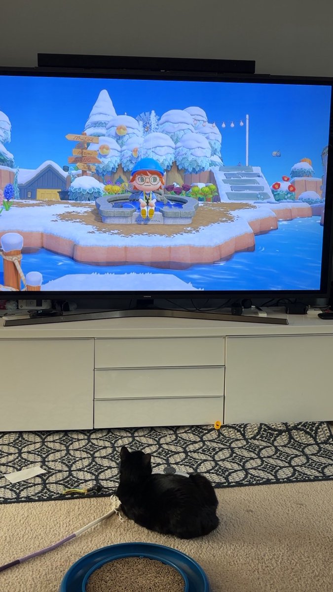 Bean (and Mara) tweet media