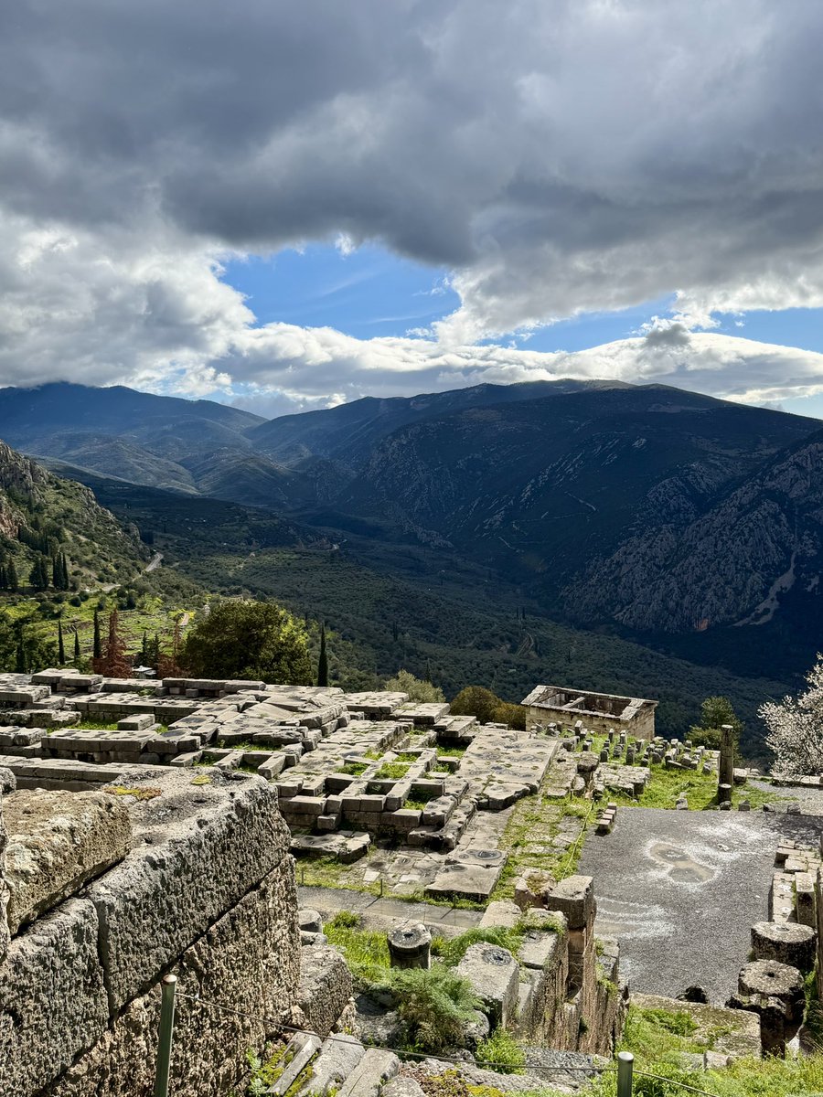 Tammy Vineberg tweet media