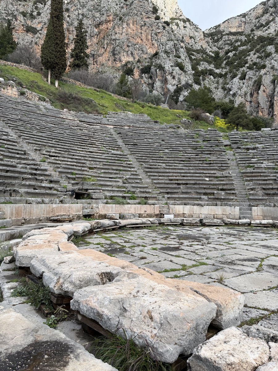 Tammy Vineberg tweet media