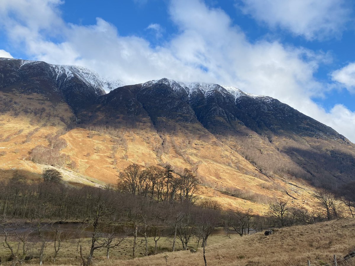 🅼🅰🆃🆃 tweet media