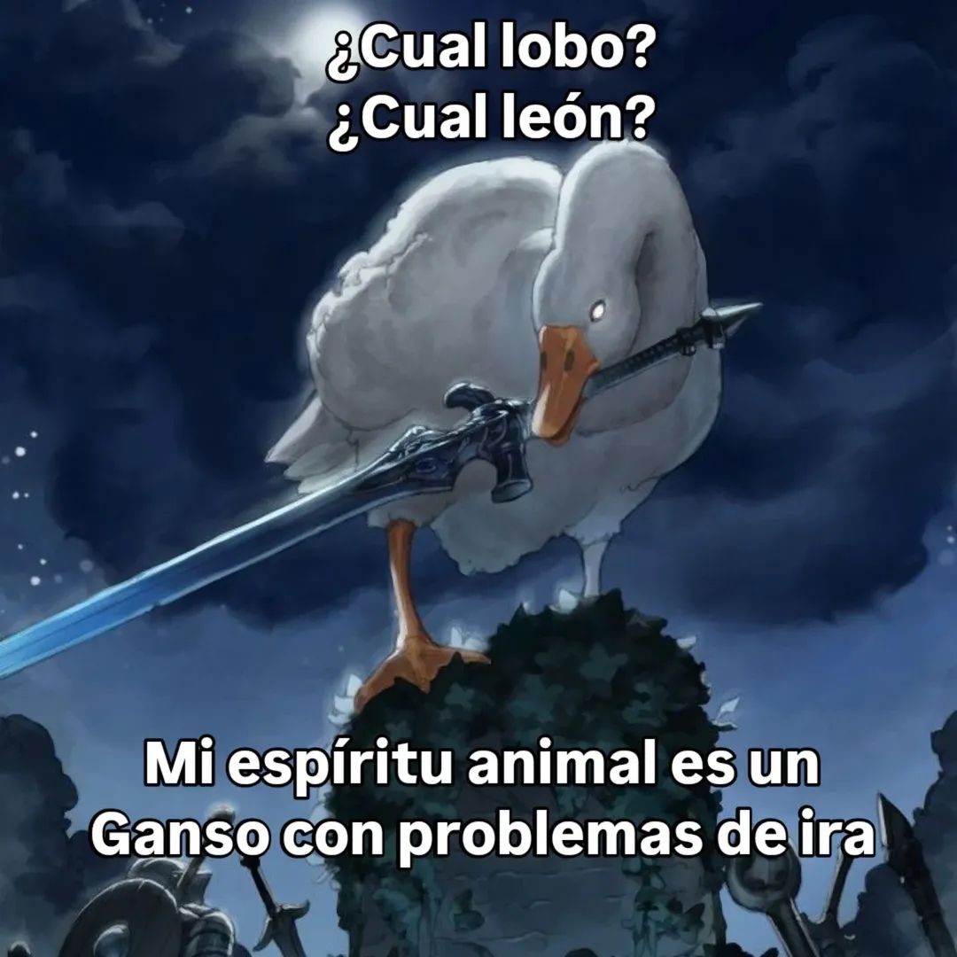 En_jupiter_'s tweet image. 