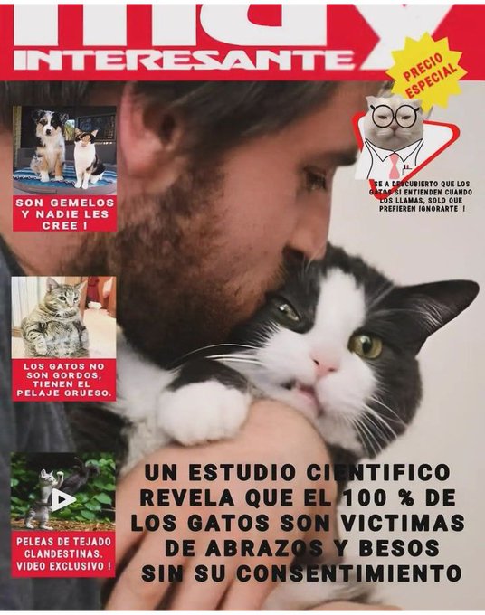gatuna_Pilar_2's tweet photo. Amén. https://t.co/qKPrKyhBIS