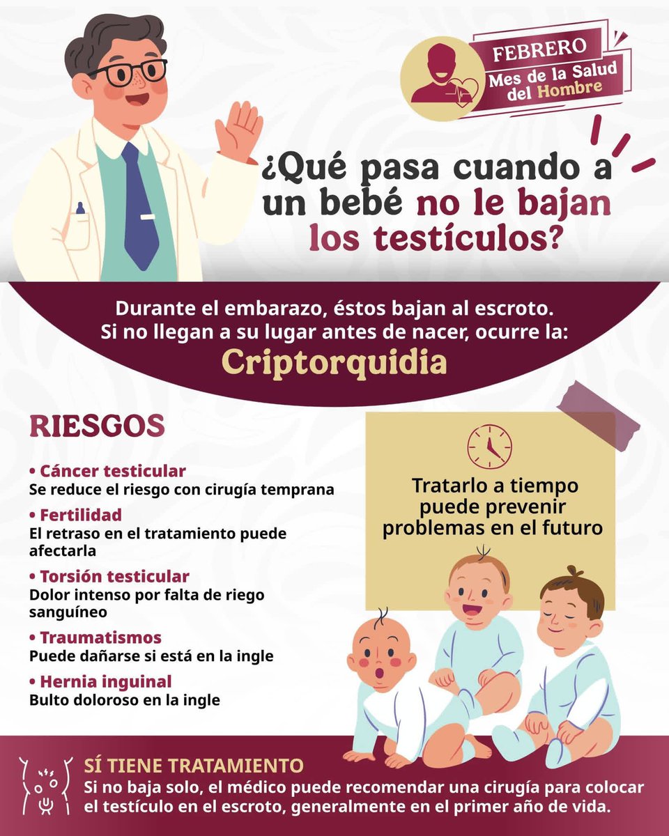 👶🏻 Que tu bebé tenga un testículo no descendido no es culpa de mamá ni de papá.

⚠️ No hay una causa exacta. Los especialistas creen que influyen varios factores que pueden aumentar el riesgo.

✅ Lo importante es que se puede detectar y tratar a tiempo. 👇