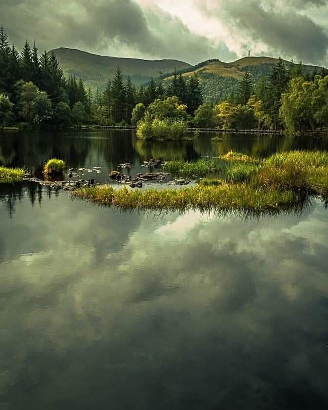 Heike John Ba tweet media