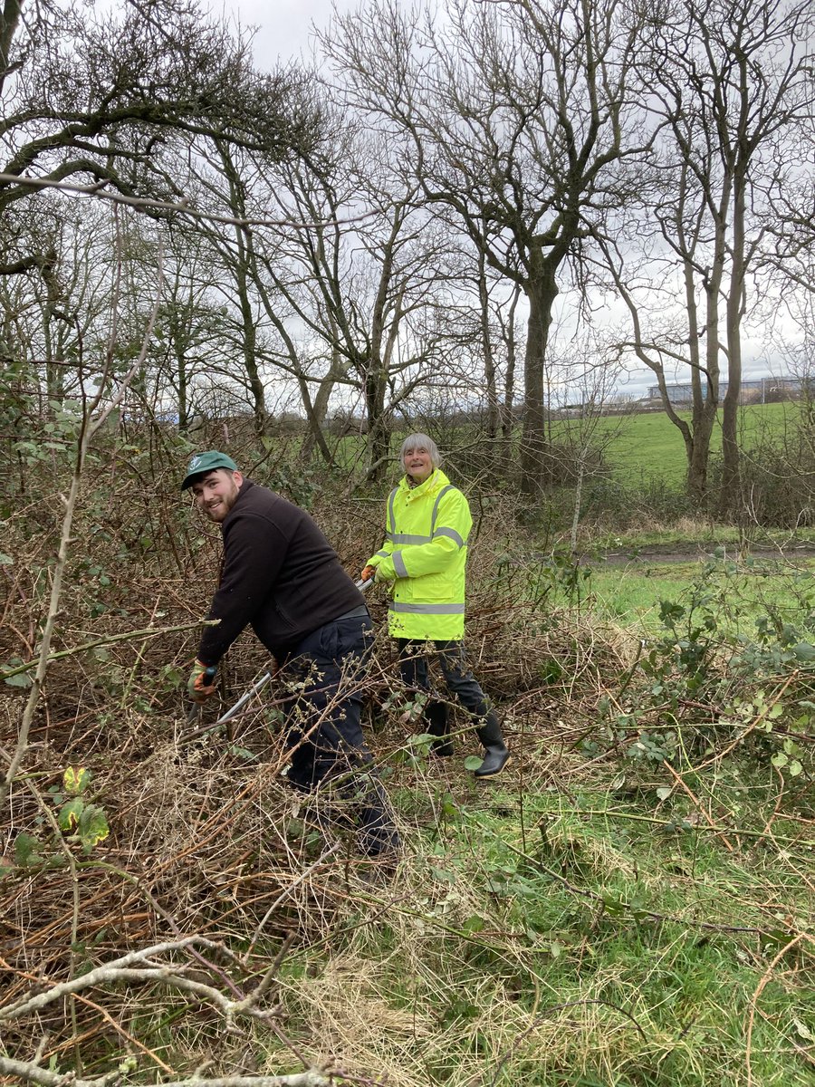BlackpoolCT's tweet photo. #NorthBlackpoolPondTrail in the orchard today bramble bashing again, they will grow back a lot healthier and there will be plenty of berries @GroundworkCLM https://t.co/gSZScqAAew