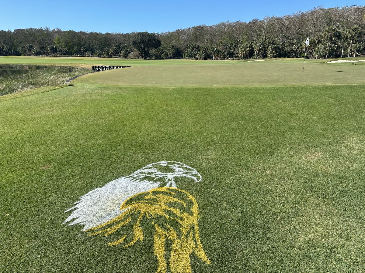 Gabe Gallo tweet media