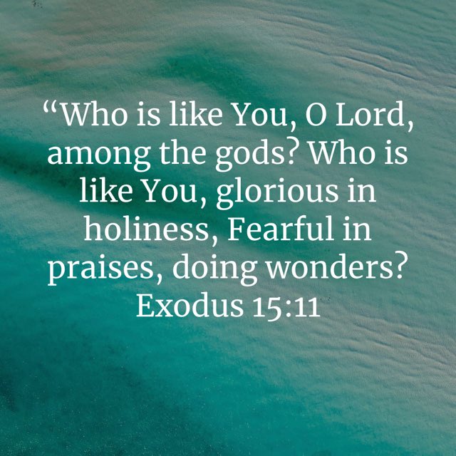 Karen Nolan (@kmn496) on Twitter photo 