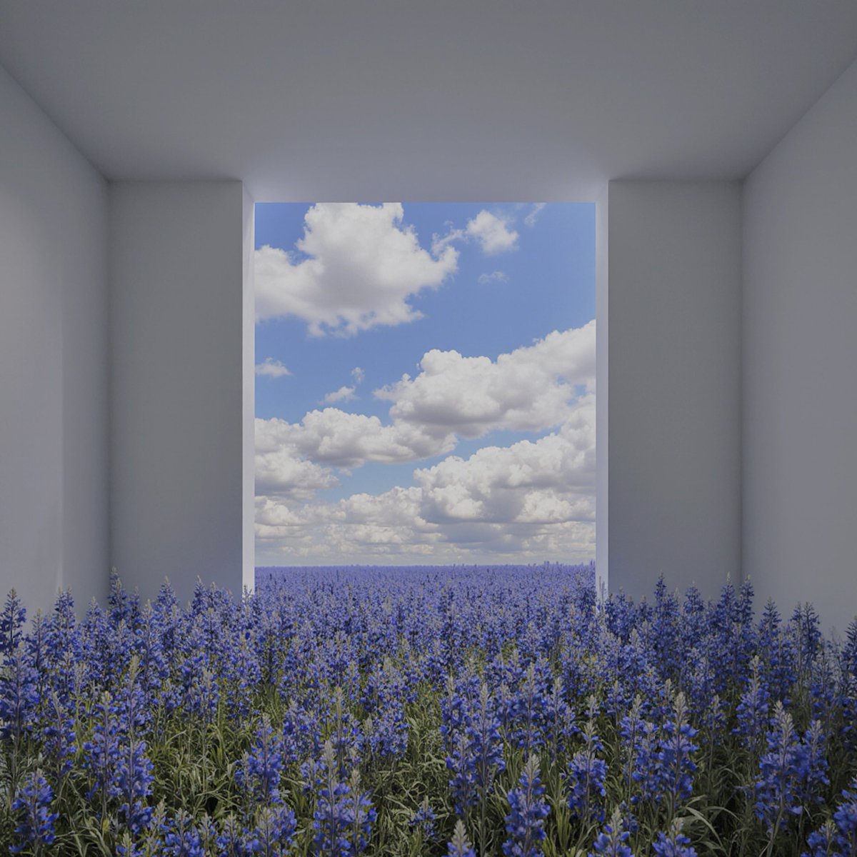 ranxdeer (@ranxdeer) on Twitter photo 