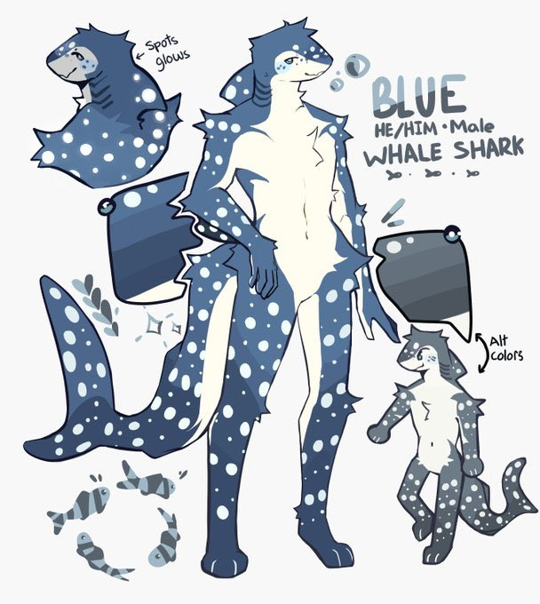 New pinned time! 
I'm Blue, and my fursona is a whale shark (refsheet by @/Bun0ntheMoon)! I'm a massive nerd and absolutely love the ocean :3 
I absolutely love furry art and will often repost pieces I like :3 I also extremely rarely draw, but more often c0mm which I post here :3