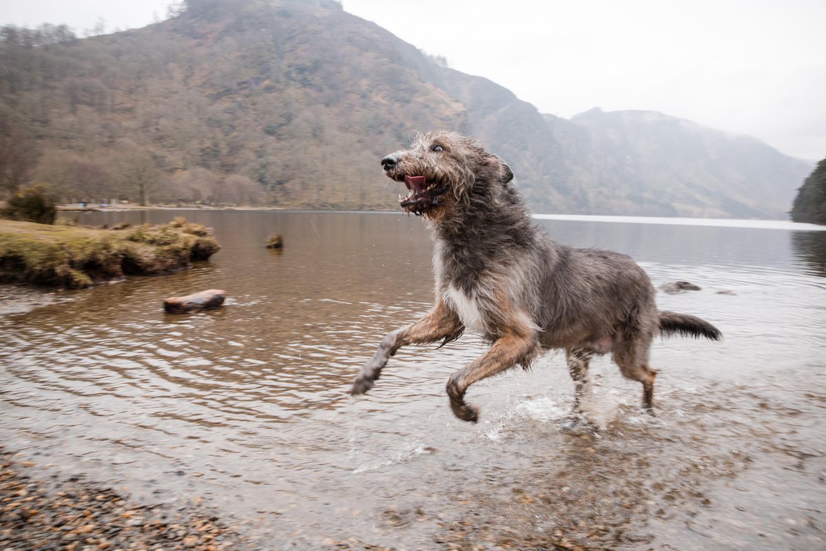 JCSP Library PSSW tweet media