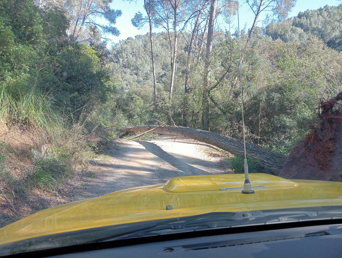 AjuntamentGava's tweet photo. 🟢Reobert el camí forestal de la BV-2041 a ca n'Amat.
L'ADF amb col·laboració de la Policia Municipal #Gavà, ha retirat tres pins caiguts a la pista forestal i que impedien el pas de vehicles.
#Gavà #AlertaVent #Precaució #ProteccióCivil https://t.co/eGaMWOGcza