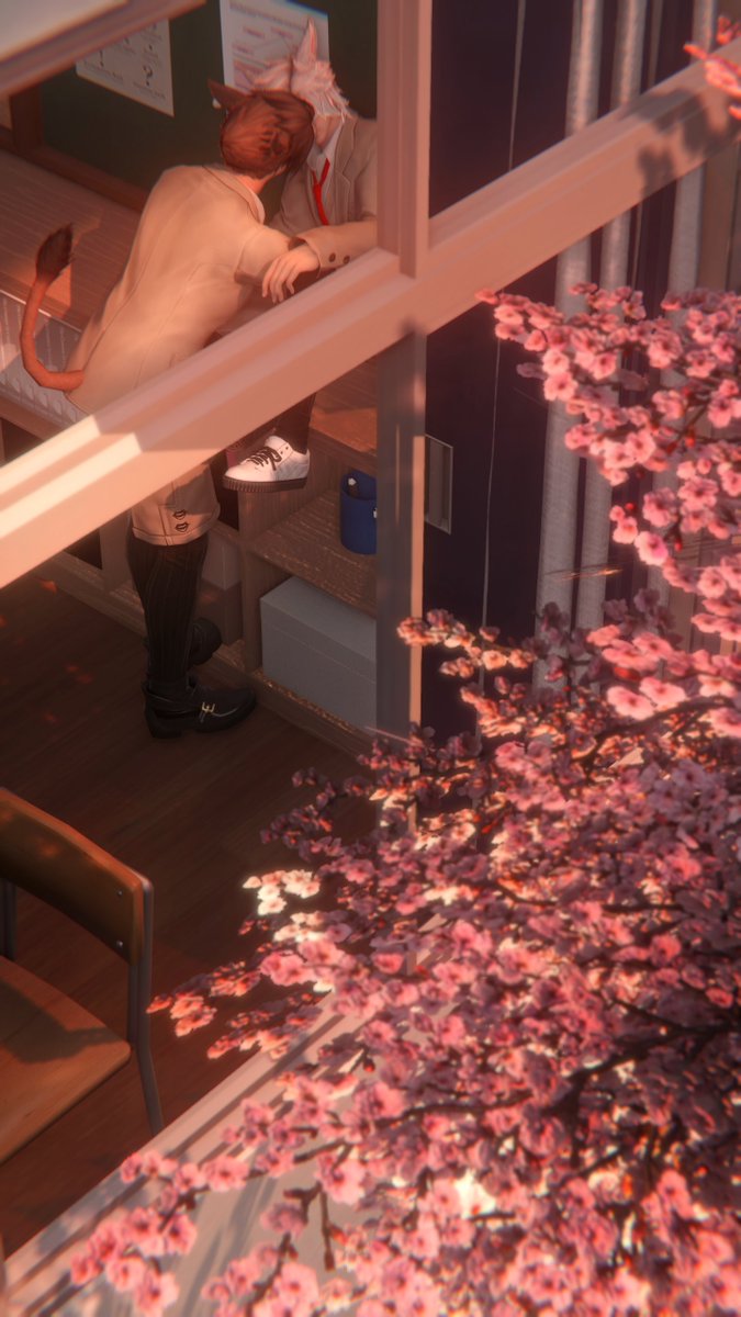 rin様✩⋆確認専用ページ