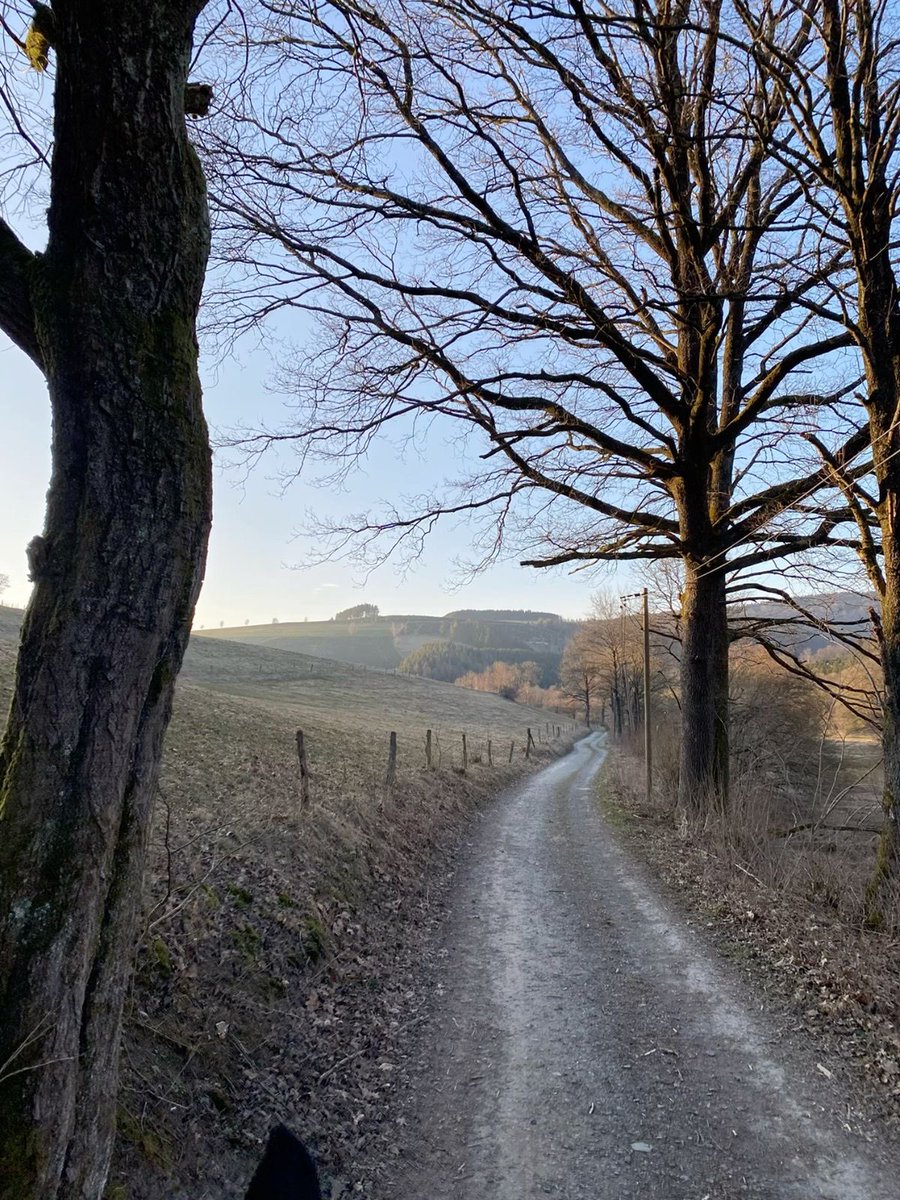 “Winter is not the 
end of the garden,
 it’s the season of 
         listening.”

Show love 
You’ll never be disappointed🪶