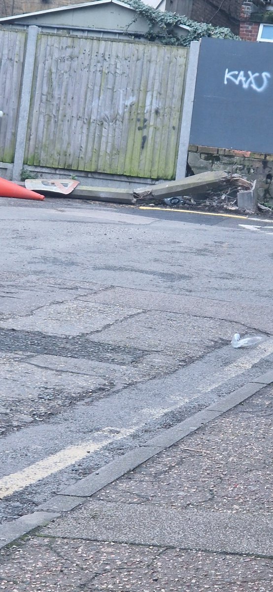 ELLIE B 🤪 tweet media