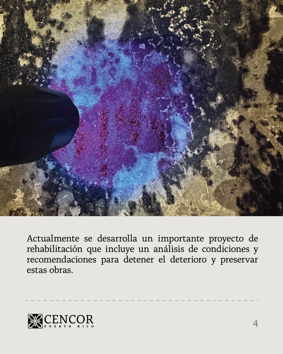 cencorpr's tweet photo. 3/4 https://t.co/x1B7wvnYiD