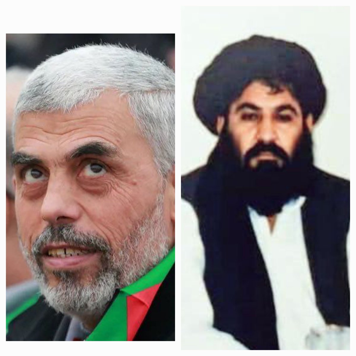 شهيد اميرالمومنين تقبل الله شهادته او شهيد يحي سنوار تقبل الله شهادته 
دواړه داسي زمري وه چي د خپل ولس او د خپل د يني ارزښتونو څخه په دفاع يې خپلي دنګي ځواني نذرانه کړې 
حتي چي شهيد منصور تقبل الله شهادته بدن خو په اور کباب تکه تکه سو
تقبلهما الله تعالی