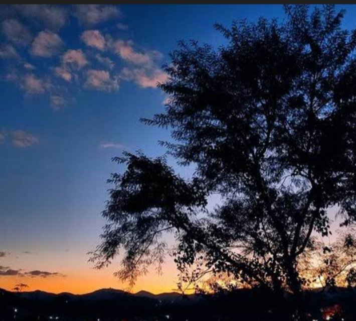 🌺Siya Meena tweet media