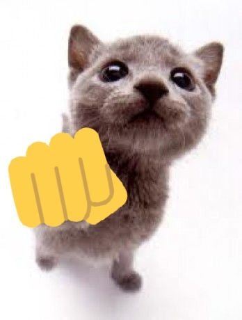 HSR🔞 (NO COMMISSIONS) tweet media