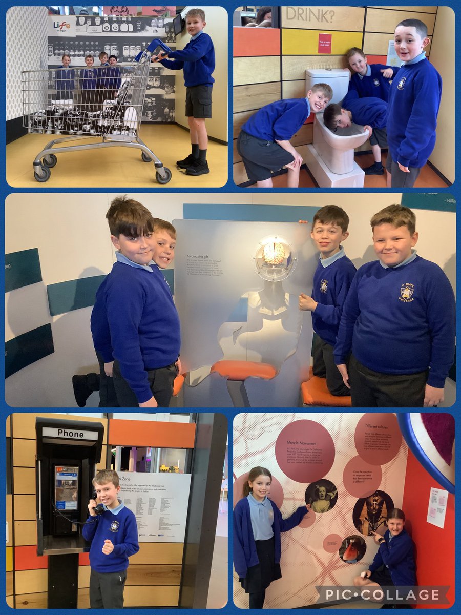 St Mary's Catholic Primary tweet media