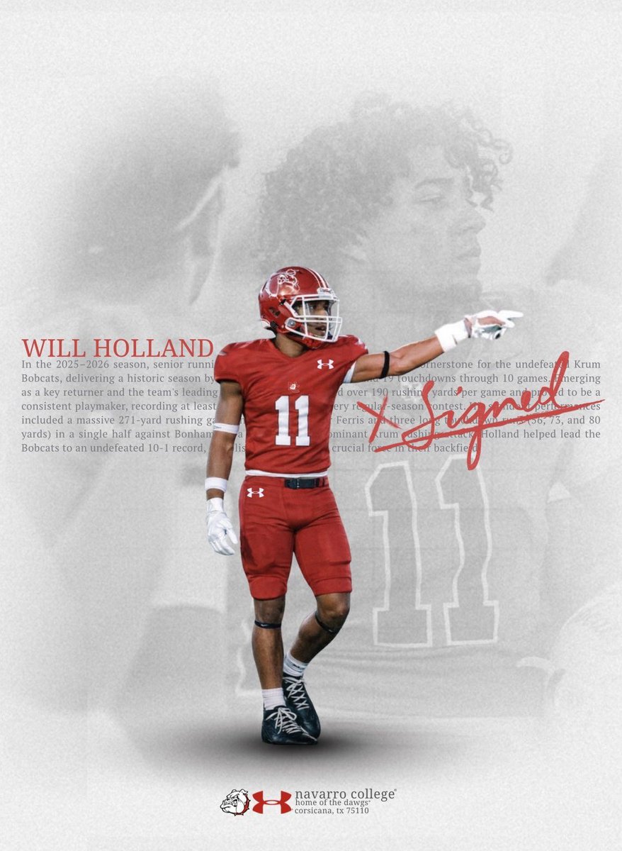 William Holland tweet media