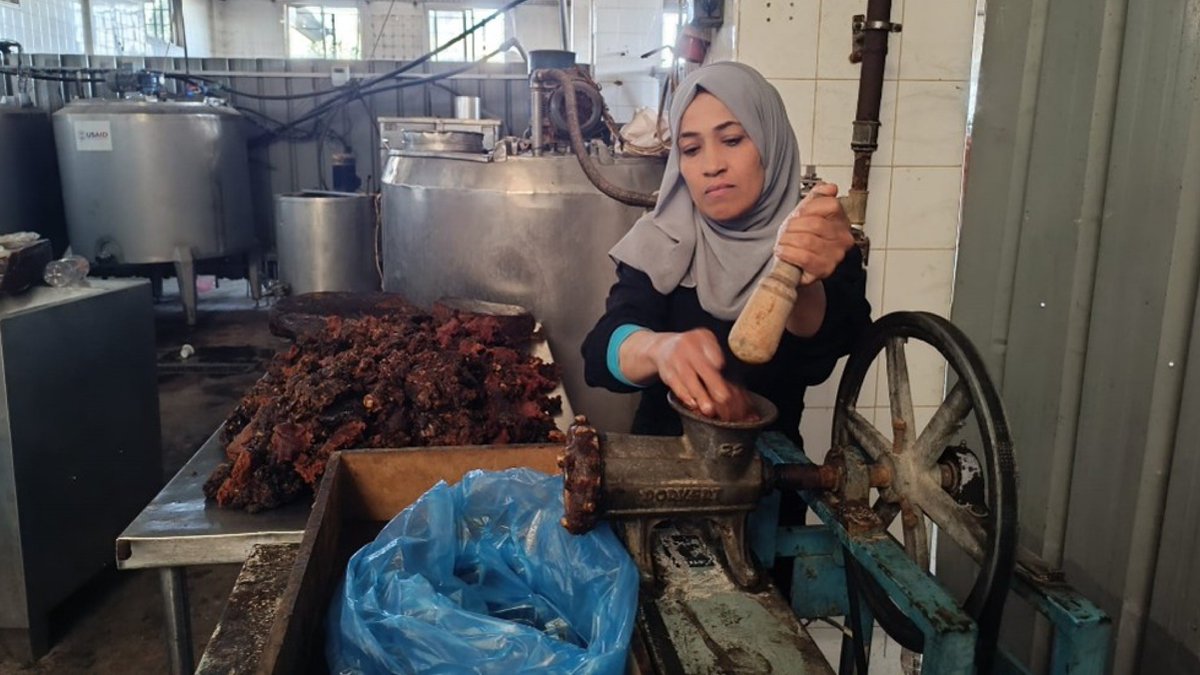 UNDP Palestine tweet media