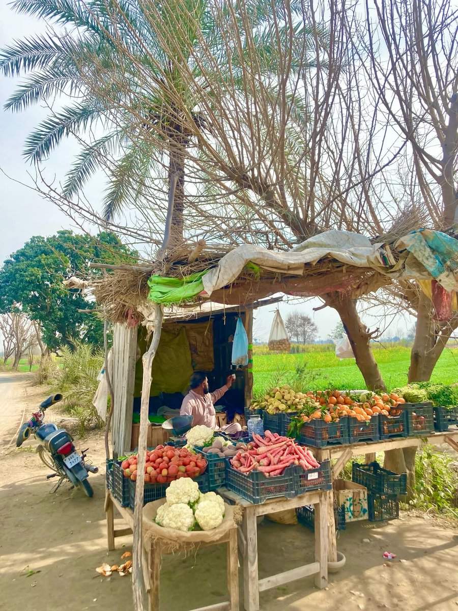 Hasnain1272's tweet image. Village Vegetables shop 🌾❤️🥦🍅🥬🥦
#village #villagephotogrpahy #pind #natural #Gaon