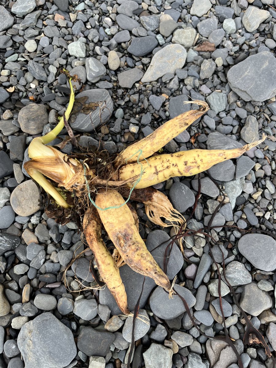 tim deasy tweet media