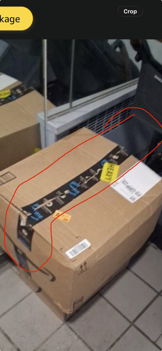 El Musk De Elon. tweet media