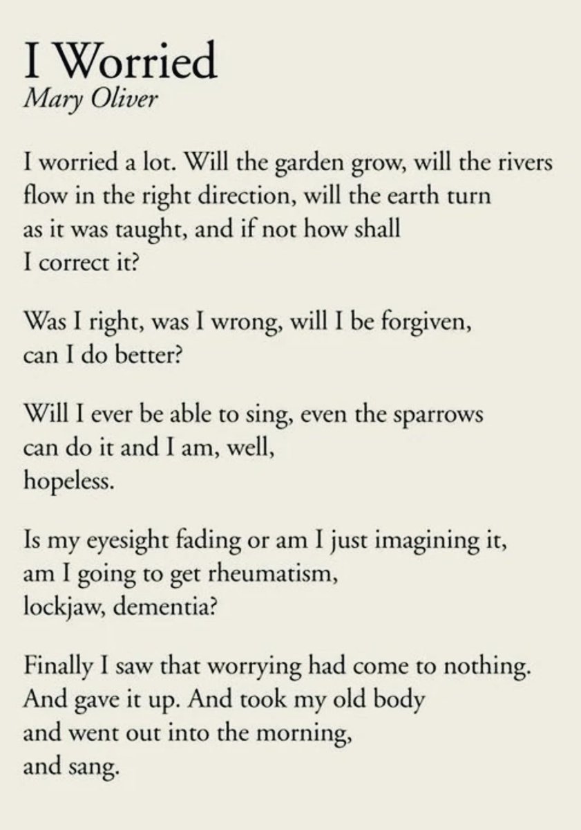 Miranda Holmqvist (@mirandahqv) on Twitter photo 