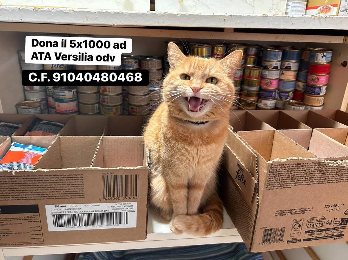 Pizzinina's tweet image. Qui la pappa non basta mai, Rebecca vi chiede se ci aiutate a riempire qualche pancino ❤️
Basta cliccare amazon.it/hz/wishlist/ls… e scegliere cosa inviarci ❤️❤️❤️
Grazie infinite 😻

#pleasehelp #aiutiamoilRifugio #Miciottoli #ATAversilia